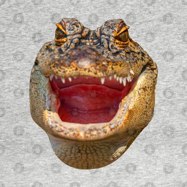 Gator face by dalyndigaital2@gmail.com